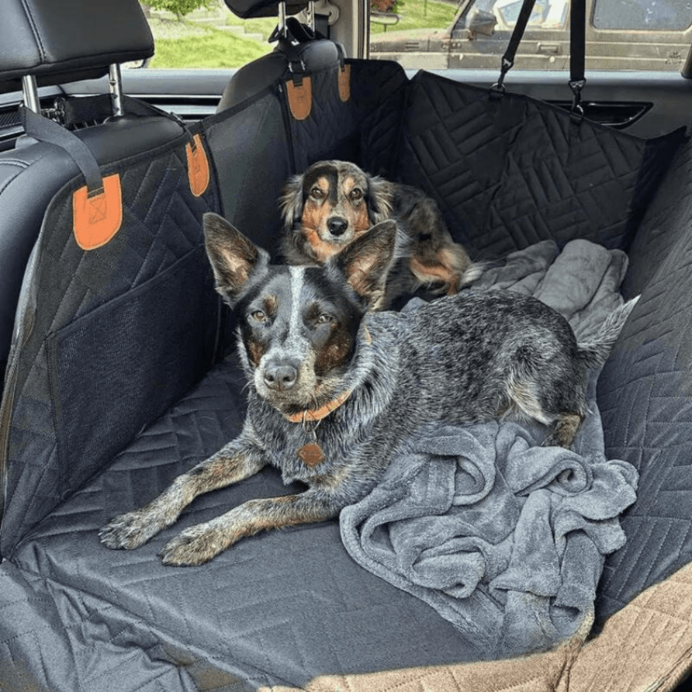 CaniCouch | Hard-Bottom Car Seat Extender