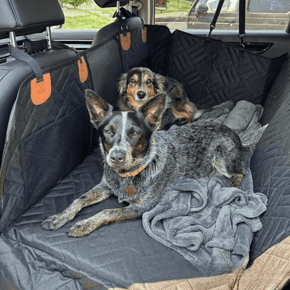 CaniCouch | Hard-Bottom Car Seat Extender