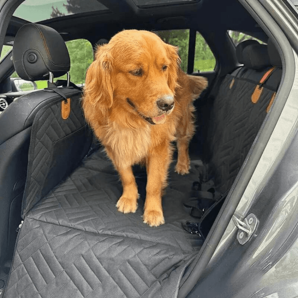 CaniCouch | Hard-Bottom Car Seat Extender