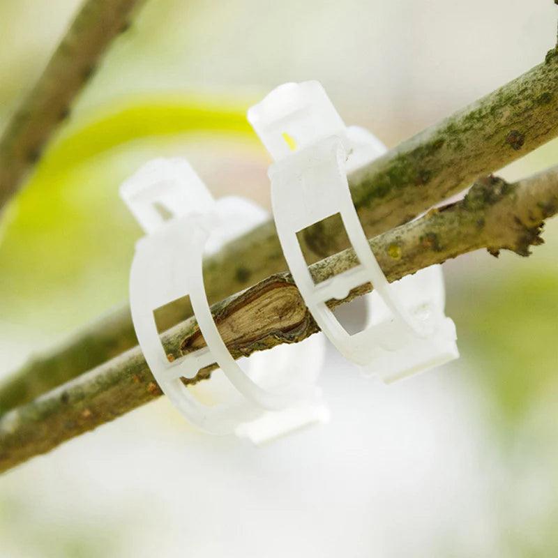 Plant Growth Support Clip | GrowGuard 