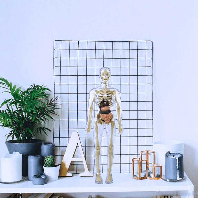 BodyMap - Maquette du corps humain - Zevessa