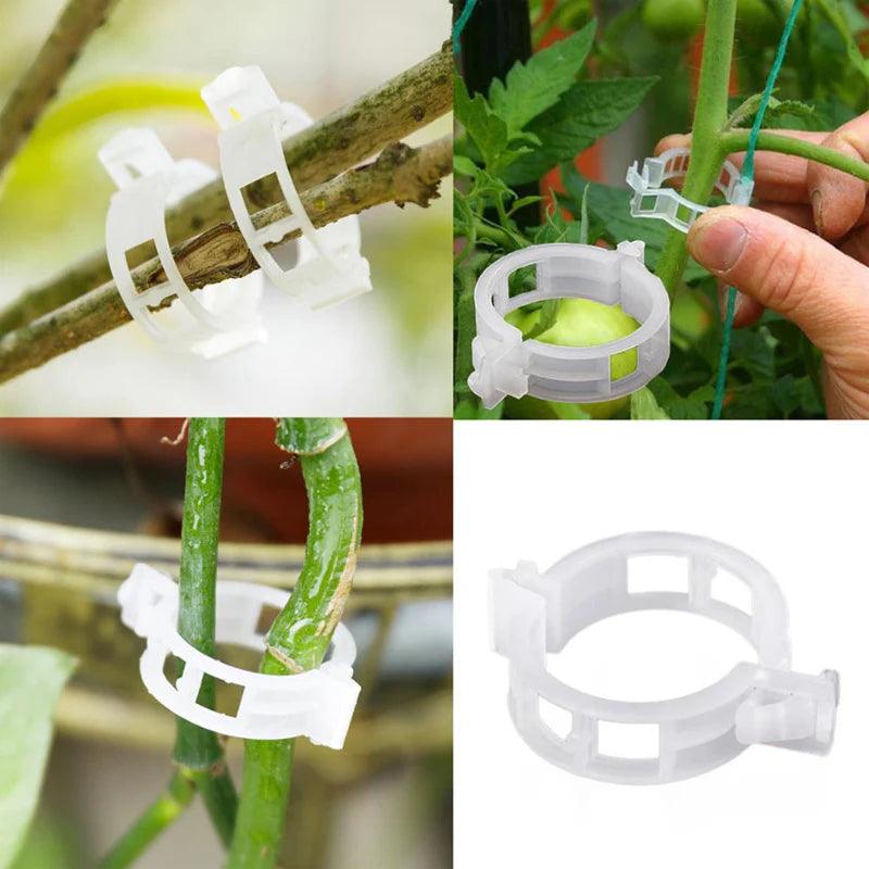 Plant Growth Support Clip | GrowGuard 