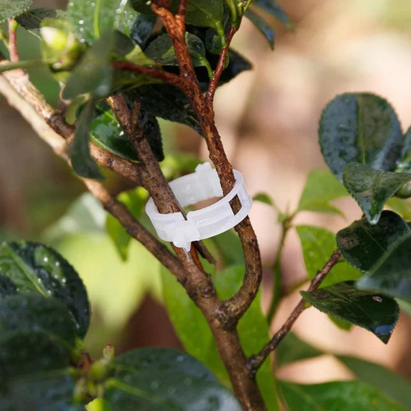 Plant Growth Support Clip | GrowGuard 