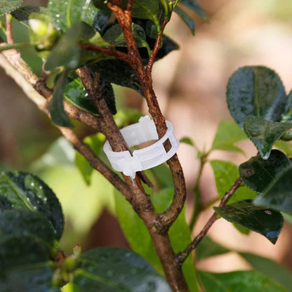 Plant Growth Support Clip | GrowGuard 