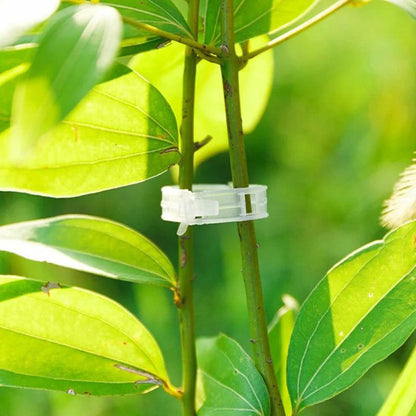 Plant Growth Support Clip | GrowGuard 