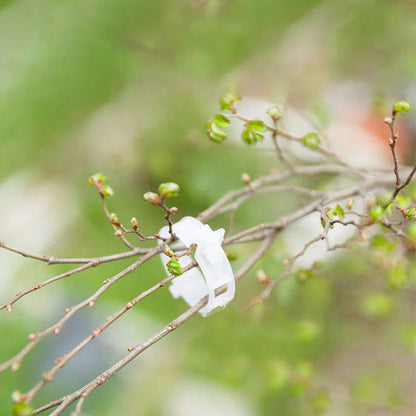 Plant Growth Support Clip | GrowGuard 
