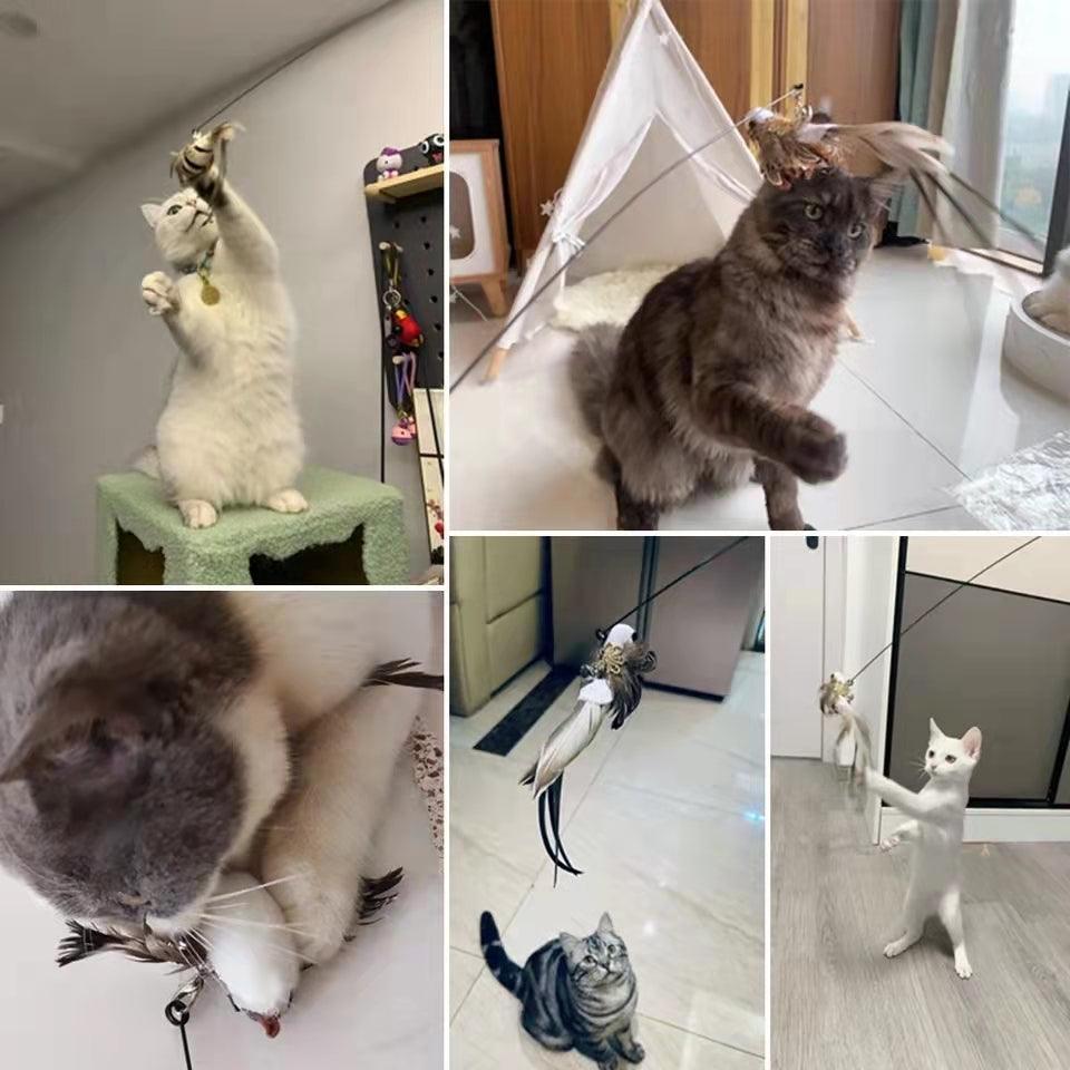 Canne oiseau pour chat - Zevessa