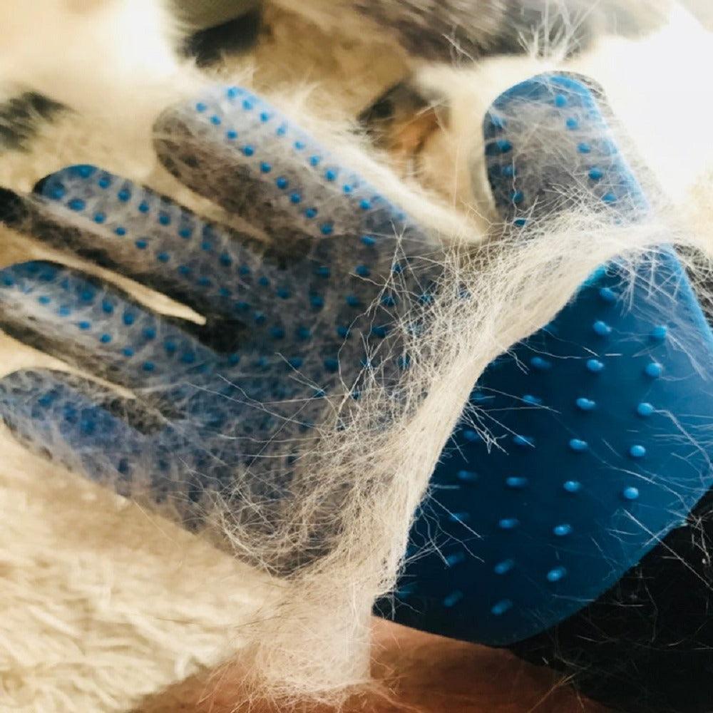 Gant de toilettage pour animaux de compagnie - Zevessa