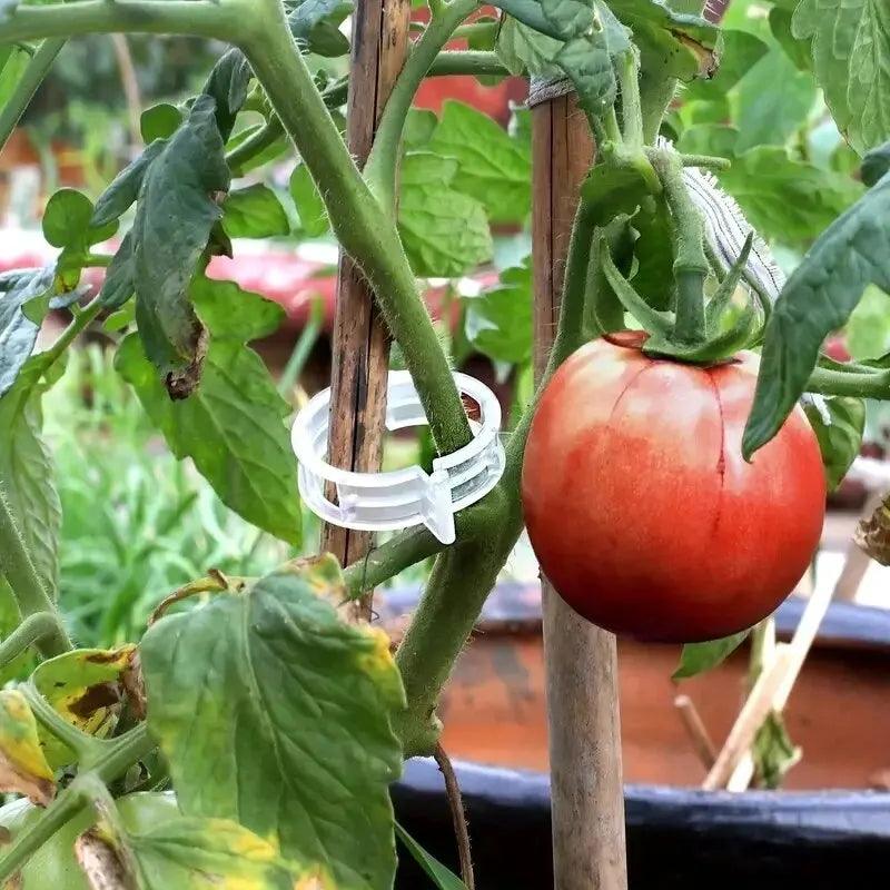 Plant Growth Support Clip | GrowGuard 