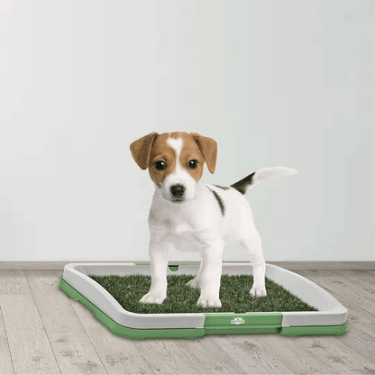Tapis pour chien en gazon artificiel - Zevessa
