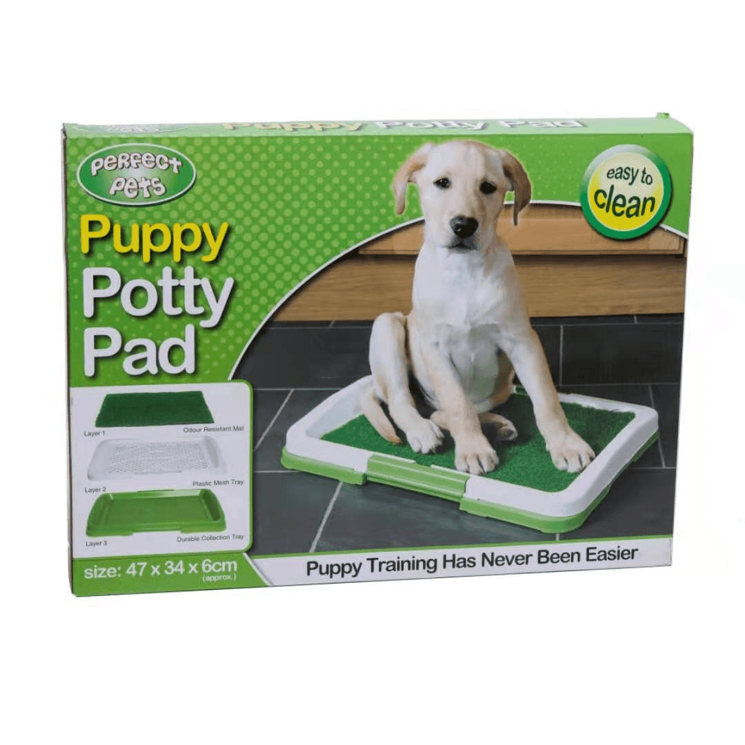 Tapis pour chien en gazon artificiel - Zevessa