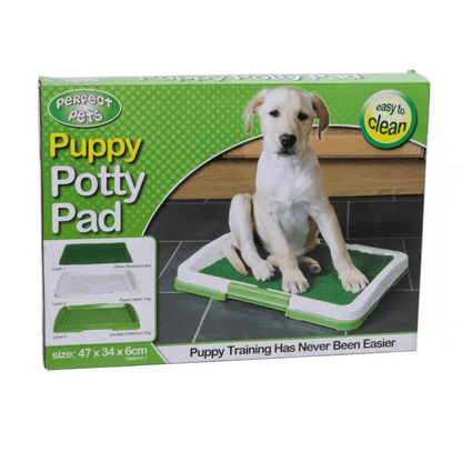 Tapis pour chien en gazon artificiel - Zevessa