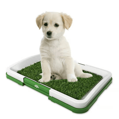 Tapis pour chien en gazon artificiel - Zevessa